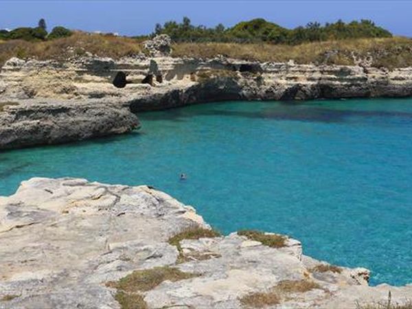 Hestasja - foto 34476.jpg