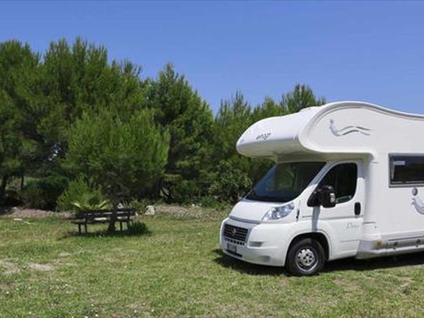 Hestasja - foto 34477.jpg