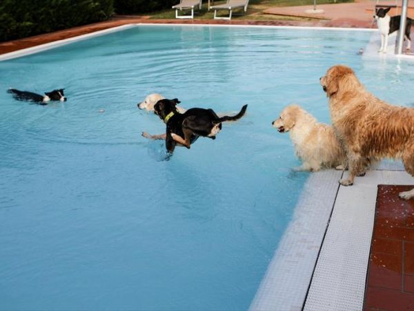 Hotel Virginia - foto 34502.jpg