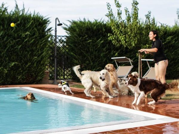 Hotel Virginia - foto 34503.jpg