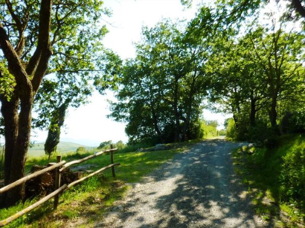 Podere Pietreta - foto 34552.jpg