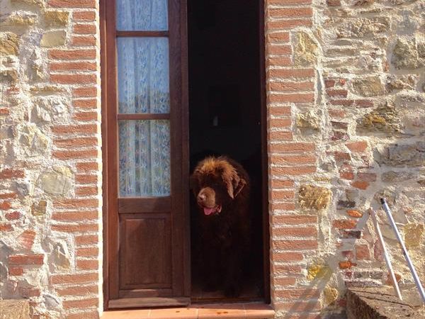 Agriturismo Santa Caterina - foto 34695.jpg