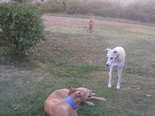 Casa Vacanze Santa Caterina - foto 34808.jpg