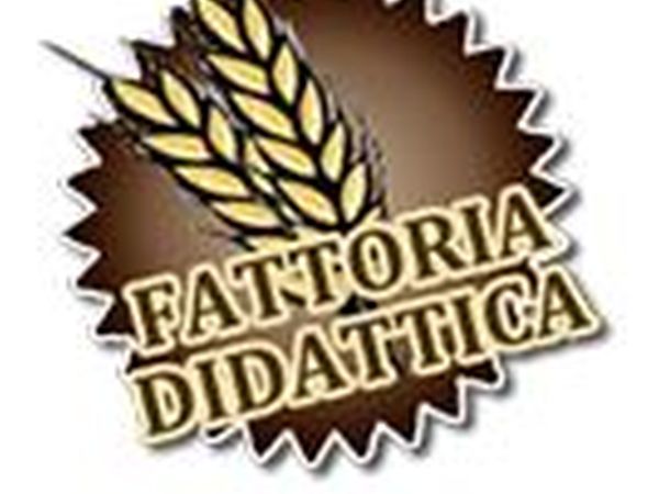 Il Podere Agriturismo e Fattoria Didattica - foto 34825.jpg