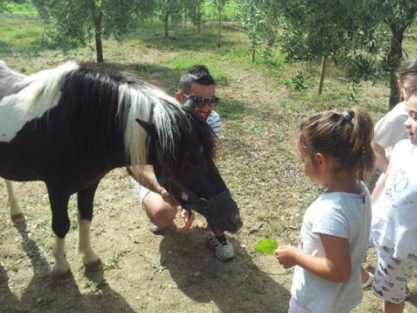 Il Podere Agriturismo e Fattoria Didattica - foto 34842.jpg