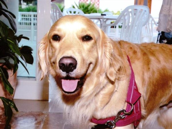 Hotel Bella Igea - foto 34884.jpg