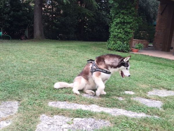 Holiday House Borgo Badia - foto 34935.jpg