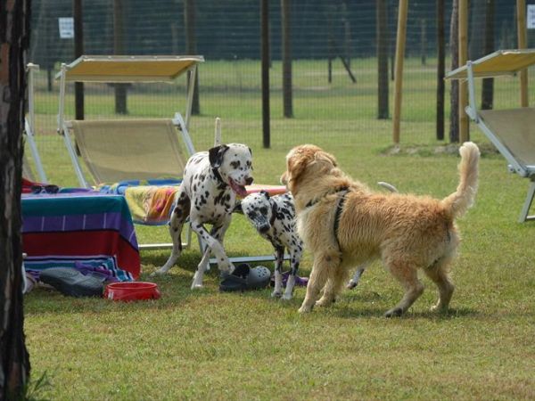 Hotel & Club Village Spiaggia Romea - foto 34952.jpg