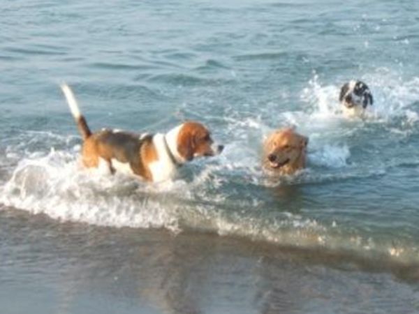 Ca� La Contra - foto 35013.jpg