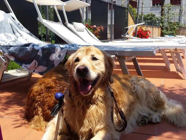 Hotel Villa Igea - foto 35032.jpg