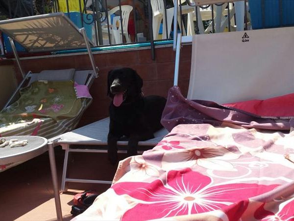 Hotel Villa Igea - foto 35036.jpg