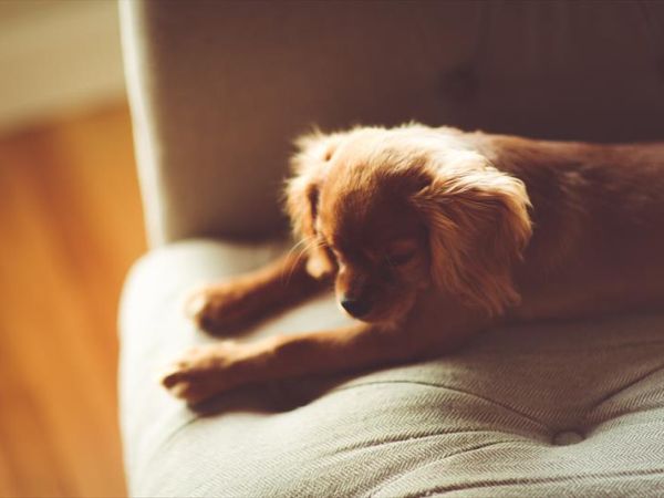 Casa Oliva - foto 35148.jpg