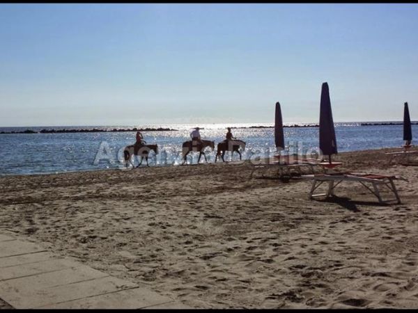 Case Vacanze Lidi Ferraresi - foto 35168.jpg