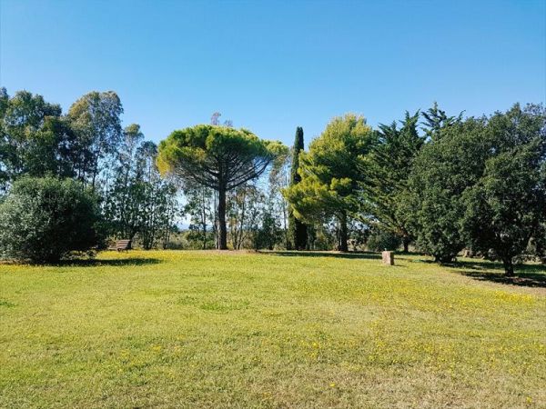 Tenuta col di Sasso - foto 35374.jpg