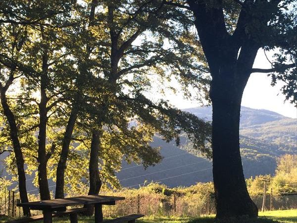 Agriturismo La Boscaglia - foto 35453.jpg