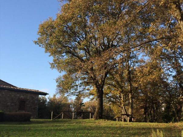 Agriturismo La Boscaglia - foto 35456.jpg