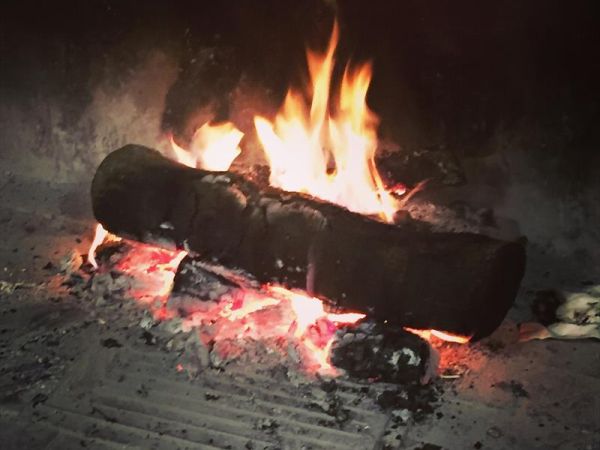 Agriturismo La Boscaglia - foto 35461.jpg