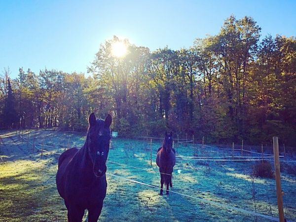 Agriturismo La Boscaglia - foto 35462.jpg