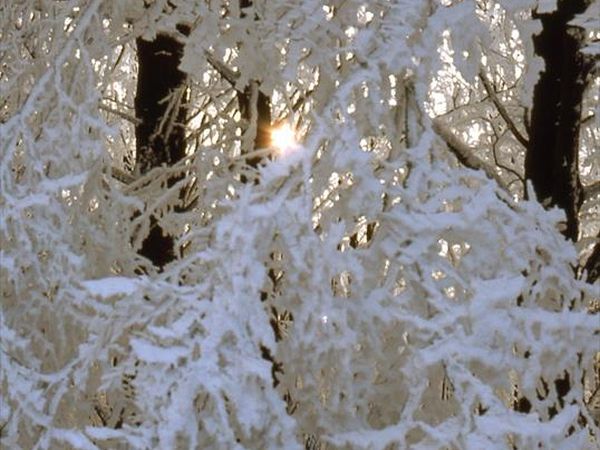 Il Molino di Serravalle - foto 35524.jpg