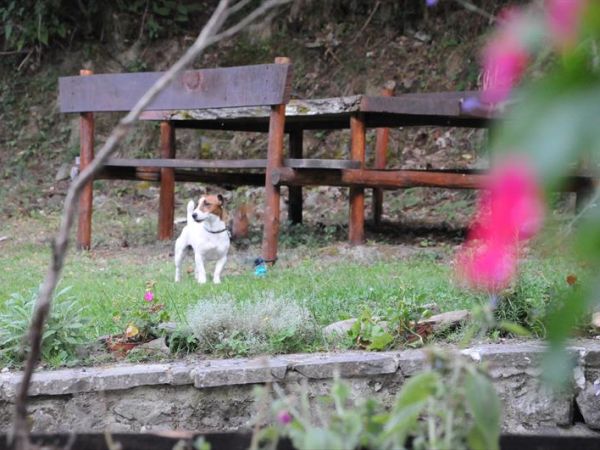 Il Molino di Serravalle - foto 35526.jpg