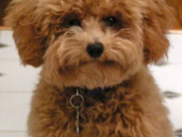 Villaggio Alemia - foto 35711.jpg