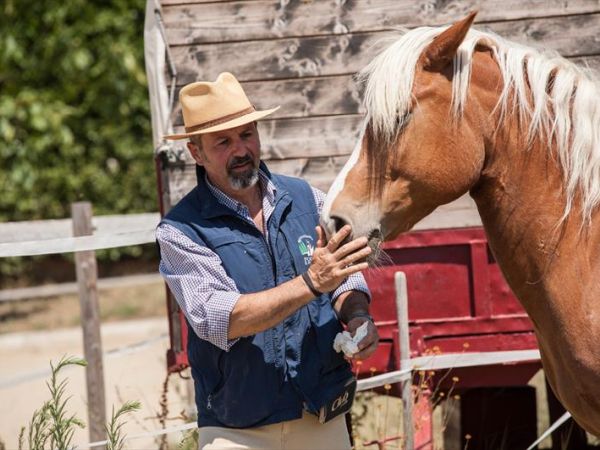 Agriturismo Podere Il Poggiolo - foto 35786.jpg