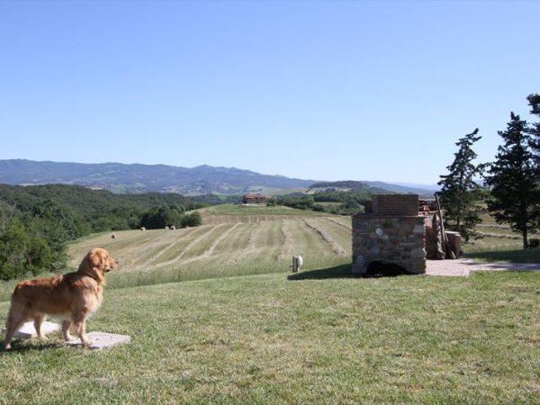 Agriturismo Fattoria Ricrio - foto 35814.jpg