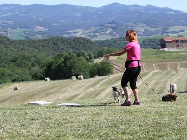 Agriturismo Fattoria Ricrio - foto 35816.jpg
