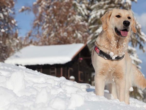 Small & Lovely Hotel Zaluna - foto 35830.jpg