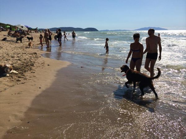 Agriturismo Fattoria Ricrio - foto 35839.jpg