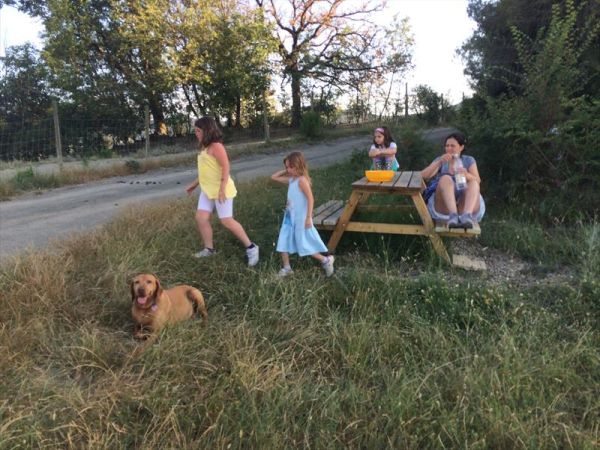 Agriturismo Fattoria Ricrio - foto 35842.jpg