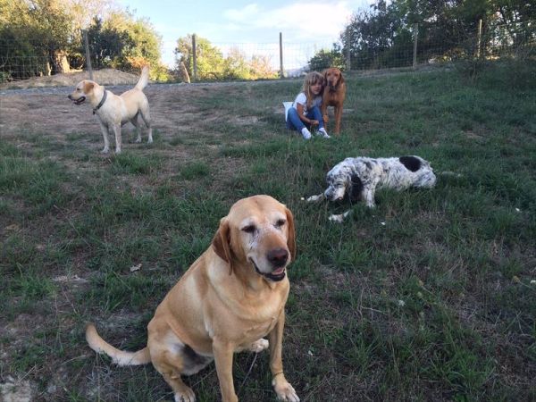 Agriturismo Fattoria Ricrio - foto 35844.jpg