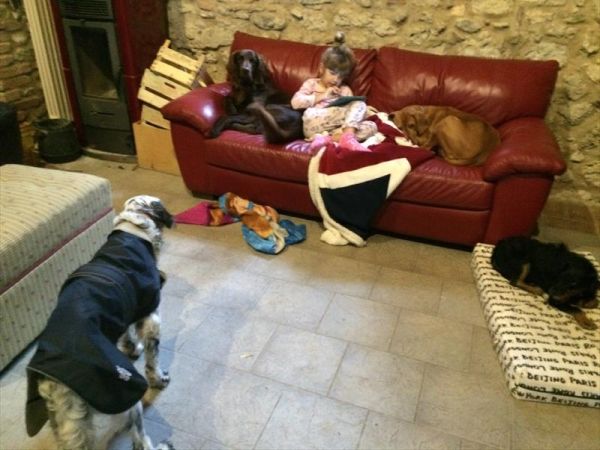 Agriturismo Fattoria Ricrio - foto 35845.jpg