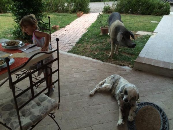 Agriturismo Fattoria Ricrio - foto 35847.jpg