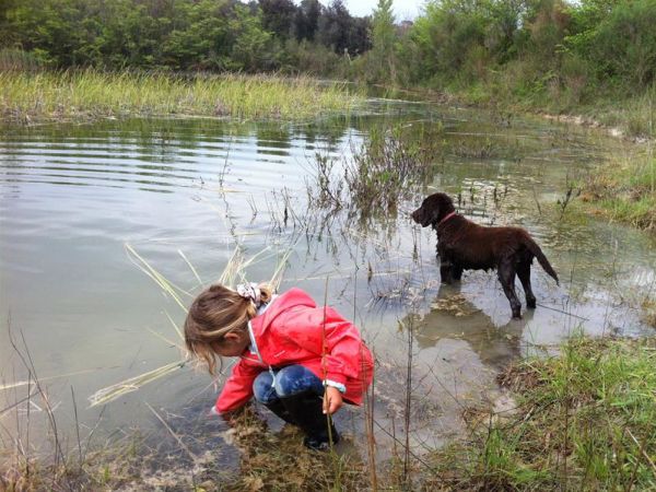 Agriturismo Fattoria Ricrio - foto 35848.jpg