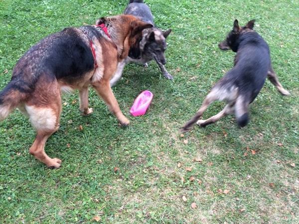 Ledro House Case Appartamenti Vacanza - foto 35860.jpg