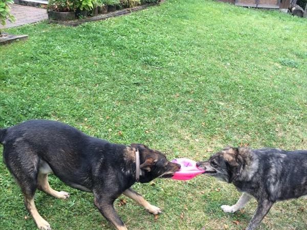 Ledro House Case Appartamenti Vacanza - foto 35861.jpg