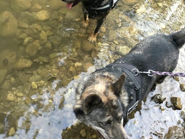 Ledro House Case Appartamenti Vacanza - foto 35862.jpg