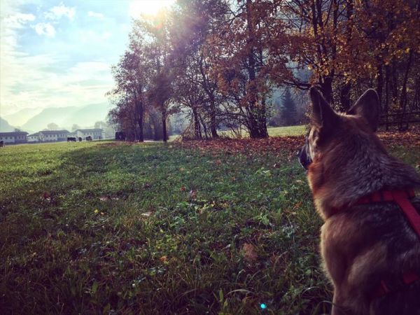 Ledro House Case Appartamenti Vacanza - foto 35863.jpg