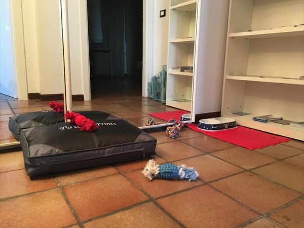 Ca� La Contra - foto 35866.jpg