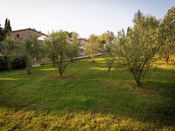 Residence Borgo Il Poggiaccio - foto 35882.jpg