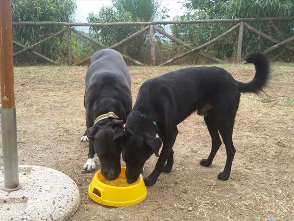 Casa di Luppe - foto 36045.jpg