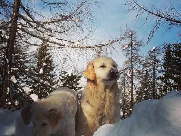 Pineta Naturalmente Hotels - foto 36052.jpg