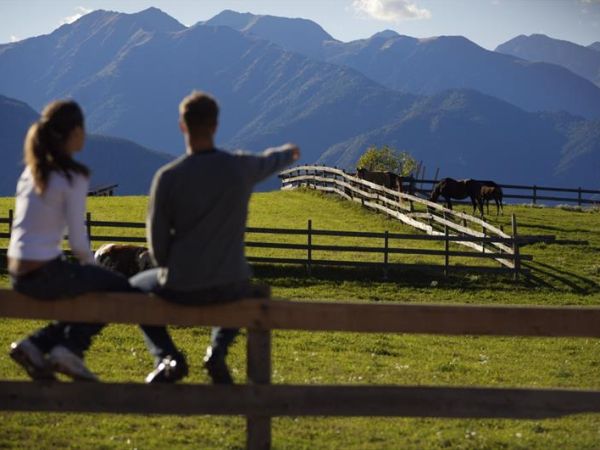 Pineta Naturalmente Hotels - foto 36058.jpg