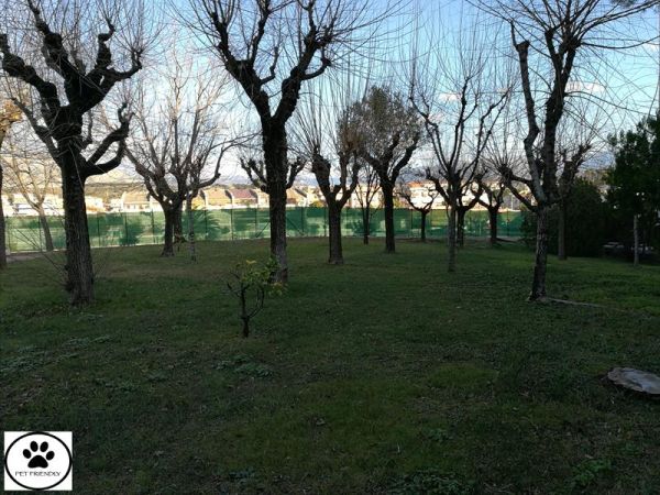 Santa Caterina Village Resort e Spa - foto 36116.jpg