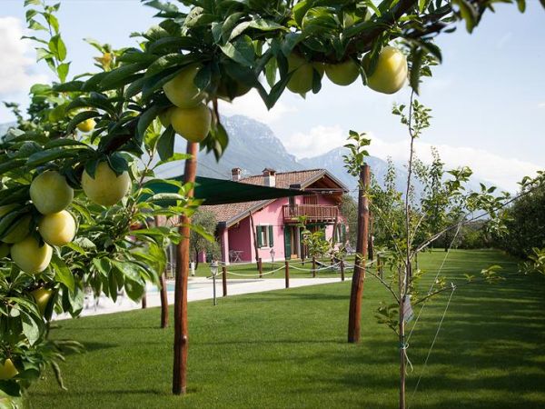 Agritur la Cort - foto 36252.jpg