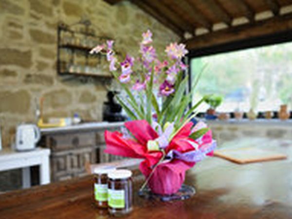 Agriturismo Il Cucciolo - foto 36277.jpg