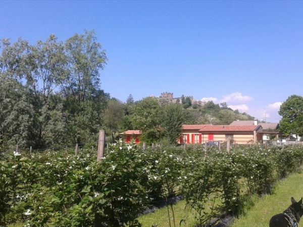 Agriturismo Terra e Lago - foto 36353.jpg