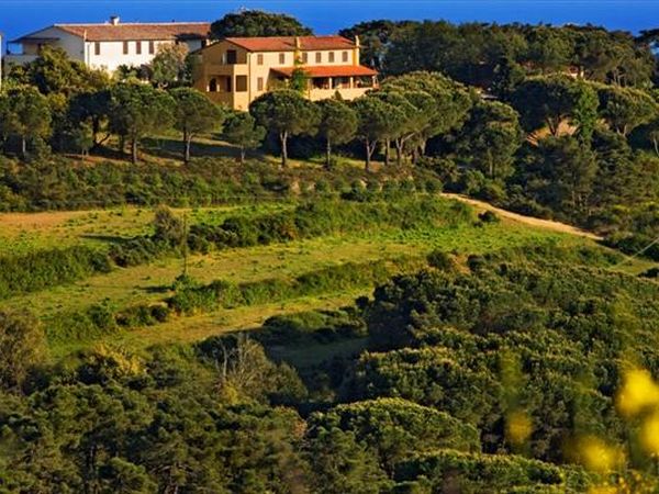 Tenuta delle Ripalte - foto 36354.jpg