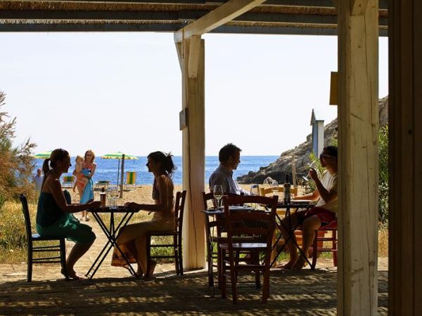 Tenuta delle Ripalte - foto 36359.jpg